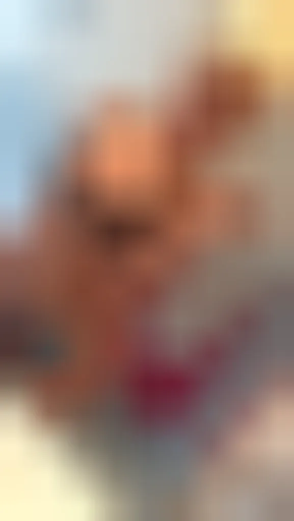 Leila, 24 vuotta — seksitreffit kaupungissa Vantaa